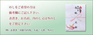 【端午の節句】かしわ餅6個入■(小豆こし餡・つぶ餡)初節句に【楽ギフ_包装】【あす楽対応】【RCP】和菓子、生菓子、団子、だんご、プチギフト、誕生日、プレゼント、お取り寄せ、老舗、おくりもの、手土産、子供の日、鯉のぼり