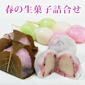 春スイーツ 春の生菓子詰め合わせ 桜もち2個花もち2個三色だんご2本 花見 お花見 桜 さくら 入学 春 だんご お彼岸 お供え 和菓子 生菓子 団子 だんご 誕生日 プレゼント お取り寄せ 老舗 高級 手土産 ギフト 桜もち 桜餅 さくら餅 大彌 老舗