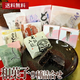《送料無料》 和菓子 色々な和菓子を少しずつ9種 お供え 志 年忌 法事 粗供養 ギフト 即日発送 お歳暮 お年賀 お菓子 色々 誕生日 プレゼント 内祝い お祝い お礼 お返し 人気 詰め合わせ 帰省 お土産 墓参り お取り寄せ 老舗 高級 スイーツ お試し お返し お見舞い 大彌