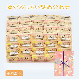 期間限定 ゆずぷっちい・ちいずぷっちい詰め合わせ 30個入 菓子庵石川 父の日 ギフト 御祝 内祝 贈答用 お菓子 菓子折り 個包装 焼き菓子 チーズクッキー プレゼント クッキー ギフト スイーツ ゆず 異動 転勤 退職 就職 職場 引越し 挨拶 御供 香典返し