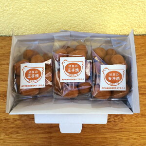 ̋ʎqā@3pbNZbgiJXẽv`Mtgj