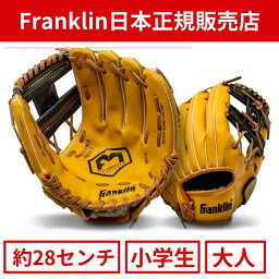 フランクリン 11インチグローブ CONTOUR FIT SYSTEM 22604K6