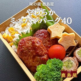 ミニハンバーグ 40g 冷凍ハンバーグ 冷凍ハンバーグミニ 冷凍 ミニ ハンバーグ 弁当用 ミニサイズ 小さい 小さめ 給食 冷凍惣菜 冷凍弁当 おかずのみ お弁当 おかず お弁当おかず 冷凍食品 弁当 昼ご飯 お昼ご飯 夕飯 おいしい 美味しい 冷凍総菜 お弁当のおかず お取り寄せ