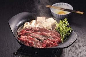 {茧Yu􋍁v J^[XXCX ad-023 {蕽̉gȋCƖLȎR̒Ō₩Ɉ琬 ɊÂ݂HǂNV^J^[X ԗpXCX