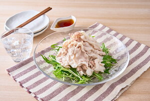 ml\ul\|[Nv [XԂԗp ad-082 E{؋Yؓ ėށEށEށE哤Ǝz ƕǂ炩W[V[ƕ]̍uh