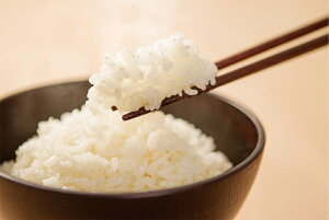 ܌N kCY߂҂肩 5kg HKDYP-5kg ]̐ĕ@ŏĂӂ̉h{VĖ@̗p