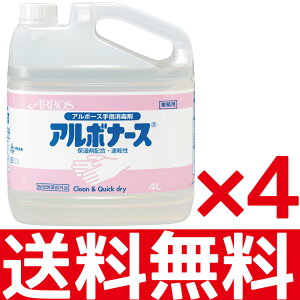 |Cg10{y܂ƂߔzA{[X A{i[Xwŉt 4bg 1P[X4{ ƖpJAN 4987010141502