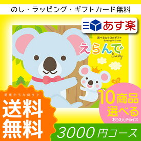 楽天市場 出産祝い カタログギフト3000円の通販