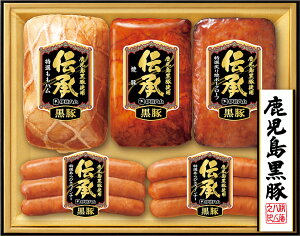 ɓn Y u`vMtgDB-55 ؓInE؏ē؃Zbgy①z