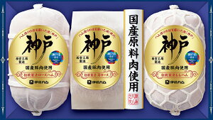 ɓnu_ˁvMtgIKC-100 `@[XnE`@[XZbgy①z