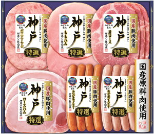 ɓnu_ˁvMtgIKE-301 I[XnEInZbgy①z