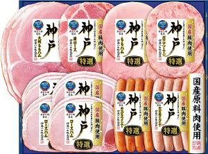 ɓnu_ˁvMtgIKE-501 唻nEI[Xn 10_Zbgy①z