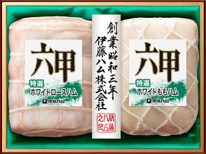 ɓnuZbvMtgRMB-501 IzCg[XnEIzCgnZbgy①z