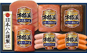 {nu{ihvnMtg NH-319 [XnEтECi[5_Zbg jb|n