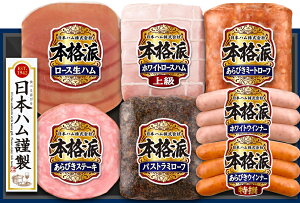 {nu{ihvnMtg NH-519 ㋉zCg[XnEтXe[L7_Zbg jb|n