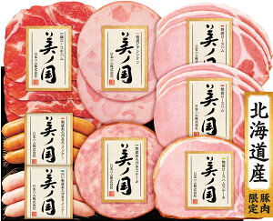 {n kC v~A m UKH-48 n[XnEn[XnXe[L8_Zbg jb|n