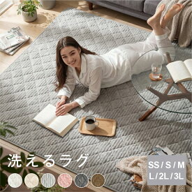 【タイムセール！804円〜！70％OFFクーポンで】ラグ 洗える ラグマット 絨毯 北欧 くすみ カーペット 95×140 130×190 190×190 190×240 190×300 1畳 1.5畳 2畳 3畳 リビング 滑り止め 床暖房対応 丸洗い かわいい おしゃれ 子供 家族 秋 冬用