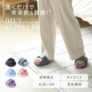 y25150065%OFFN[|Iz_CGbgXbp c{Xbp Xbp  􂦂 ̊  ƌN [V[Y NT_ 킢  r p ނ c{