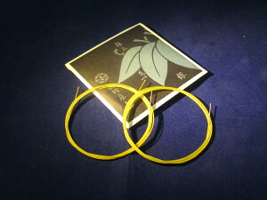 yOz͂ˎ@̎i2{j@17@yz