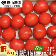 珊瑚樹トマト わけあり品 約1～1.5kg 糖度8度～10度以上 徳島県産 高糖度 箱入り 野菜 甘い 規格外