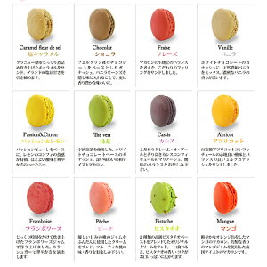 一流パティシエも認める美味しいMマカロンショコラ30個入り【冷凍】