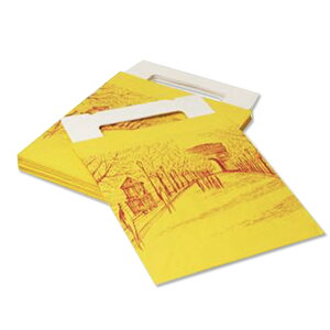 yΏہIőP10{IzP[L pX 180x105x205mm 50(퉷) Ɩp