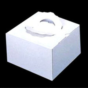 V 񂰃P[L{bNX n 5p 50 g[Ȃ(퉷) Ɩp