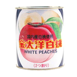 m Y ʋl  2 850g(퉷) Ɩp