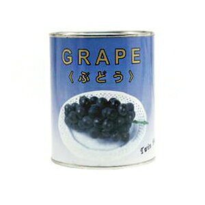 Twin Bear Ԃǂ ʋl 2 850g(퉷) Ɩp