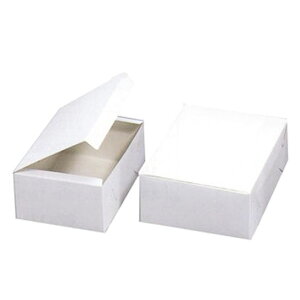 yΏہIőP10{IzKSJ[g  5 105×150×85mm 100(퉷) Ɩp