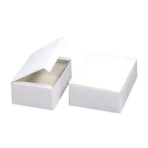 KSJ[g  4 90×120×85mm 100(퉷) Ɩp