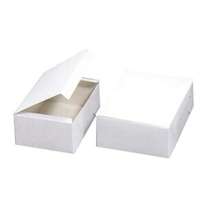 yΏہIőP10{IzKSJ[g  9 210×270×85mm 50(퉷) Ɩp