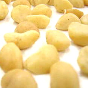 }J_~Aibc n[t ([Xg) 100g(퉷) Ɩp