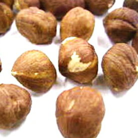 トルコ産 ヘーゼルナッツホール 皮付き (生) / 1KG 業務用