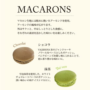 【SS期間限定全品ポイント10倍】【PB】冷凍マカロンマンゴー30個直径45mm【冷凍】