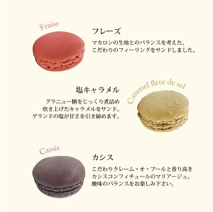 【SS期間限定全品ポイント10倍】【PB】冷凍マカロンマンゴー30個直径45mm【冷凍】