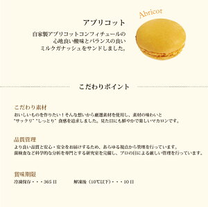 【SS期間限定全品ポイント10倍】【PB】冷凍マカロンマンゴー30個直径45mm【冷凍】