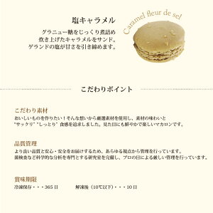 【SS期間限定全品ポイント10倍】【PB】冷凍マカロンマンゴー30個直径45mm【冷凍】