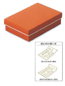 (񂹏i)VvMtg IW 8p 100(퉷) Ɩp