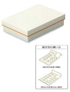 (񂹏i) VvMtg AC{[ 12p 50 (퉷) Ɩp