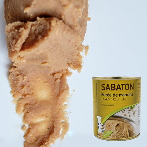 SABATON (Tog) }s[ 870g(퉷)  N I u mَq ٗp pp  ޗ Ɩp