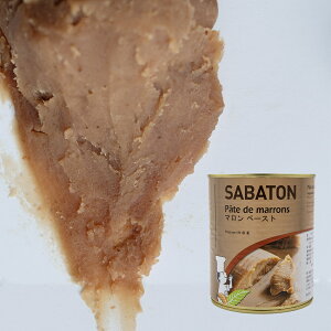 SABATON (Tog) }y[Xg 1kg(퉷)  N I y[Xg u mَq ٗp pp  ޗ e Ɩp