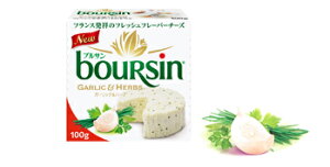 (񂹏i)Y uT K[bNn[u 100g (①) Ɩp