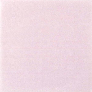 (񂹏i)CfA OPtB [ ~ sN 17cm 1000 AF-022(퉷) Ɩp