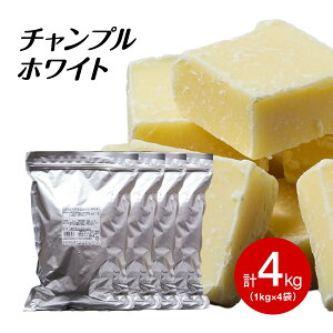 `v zCg 1~4KG ەHz[fBOX XC[g`R (ċG①) Ɩp ٗp