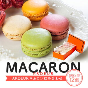 ARDEUR �}�J���� 12�l�ߍ��킹(�e��2����) �Ⓚ�}�J����(�𓀌�v�Ⓚ)