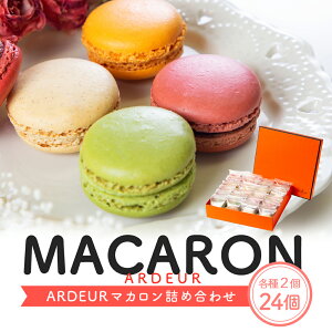 ARDEUR �}�J���� 24�l�ߍ��킹(�e��2����) �Ⓚ�}�J����(�𓀌�v�Ⓚ)