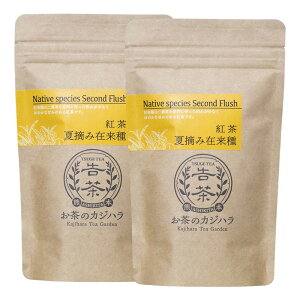 y2Zbgzag [t^Cv ݗēE 50g×2 (퉷) t g