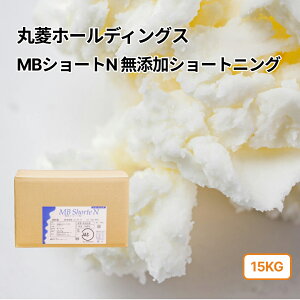 (PB)ەH MBV[gN V[gjO 15~60kg(퉷) Ɩp A  ٗp p ٗp pp  ޗ e