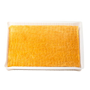 Đ~tB[(PM-1) 9 {Hi ̑